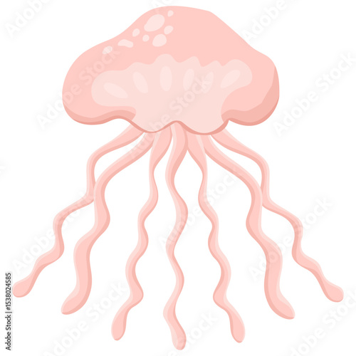 A jellyfish isolated on a transparent background.Vector illustration of a marine animal.