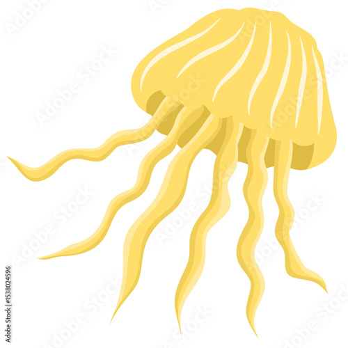 A jellyfish isolated on a transparent background.Vector illustration of a marine animal.
