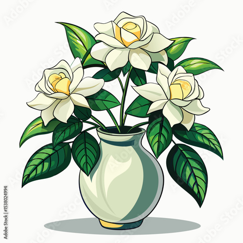 beautiful gardenia flower 