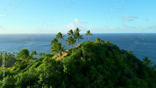 Wallpaper Mural Lush Tropical Island Hillside with Palm Trees Overlooking Azure Blue Ocean Scenery Torontodigital.ca