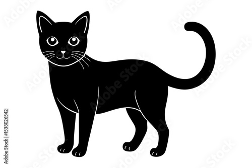 black cat vector illustration