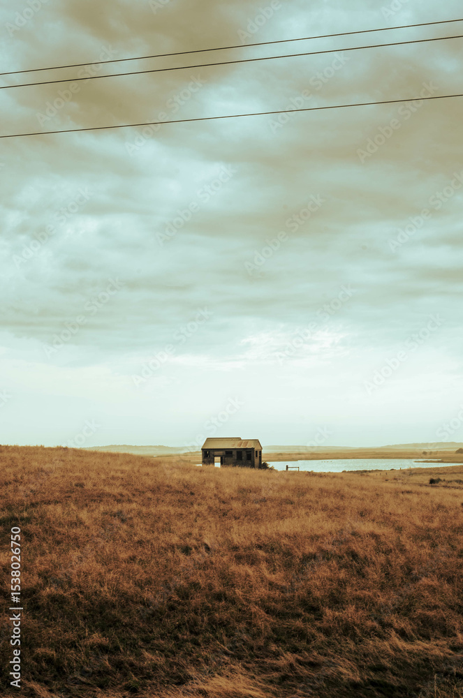 Fototapeta premium Rural countryside landscape with golden wheat field under blue sky