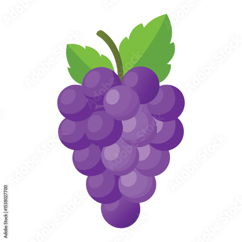 Grape fruits with leaf icon vector illustrtion