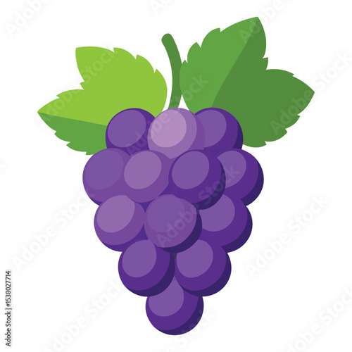 Grape fruits with leaf icon vector illustrtion