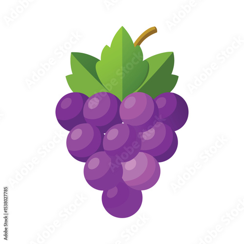 Grape fruits with leaf icon vector illustrtion