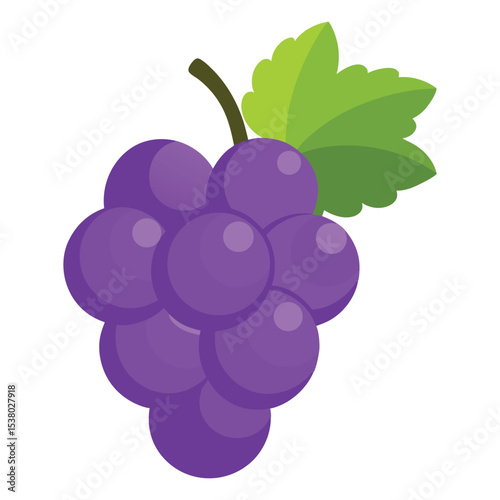 Grape fruits with leaf icon vector illustrtion