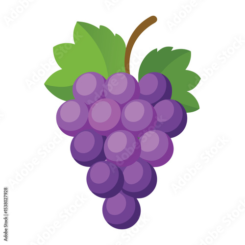 Grape fruits with leaf icon vector illustrtion