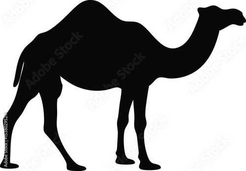 camel silhouette vector, camel black symbol, camel icon