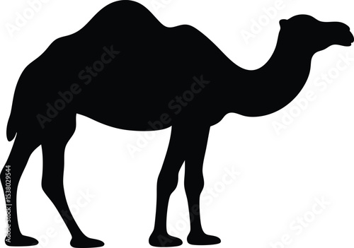 camel silhouette vector, camel black symbol, camel icon