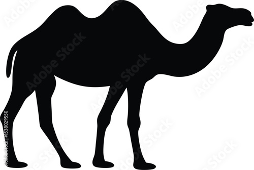 camel silhouette vector, camel black symbol, camel icon