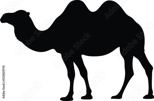 camel silhouette vector, camel black symbol, camel icon