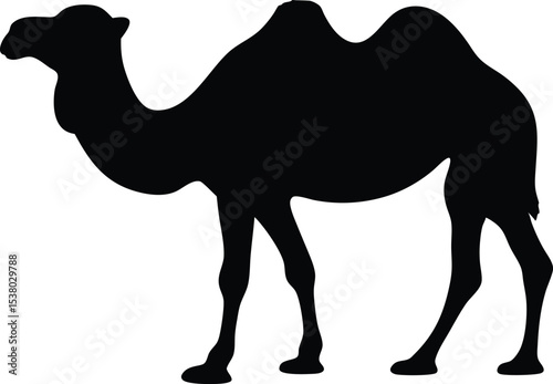 camel silhouette vector, camel black symbol, camel icon