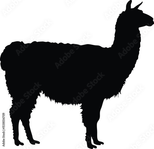 cool llama silhouette vector illustration, cool llama  icon, cool llama black symbol