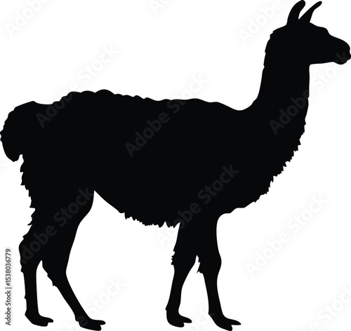 cool llama silhouette vector illustration, cool llama  icon, cool llama black symbol