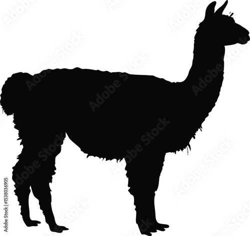 cool llama silhouette vector illustration, cool llama  icon, cool llama black symbol