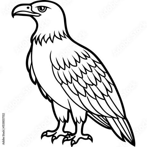 Minimal White-Bellied Sea Eagle Vector