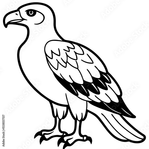 Minimal White-Bellied Sea Eagle Vector