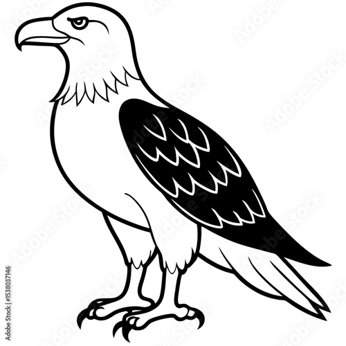 Minimal White-Bellied Sea Eagle Vector