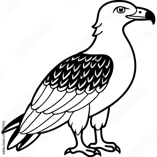 Minimal White-Bellied Sea Eagle Vector
