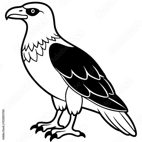 Minimal White-Bellied Sea Eagle Vector
