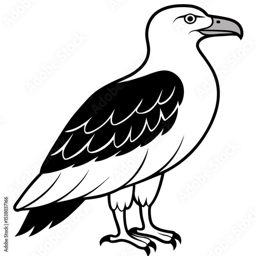 Minimal White-Bellied Sea Eagle Vector