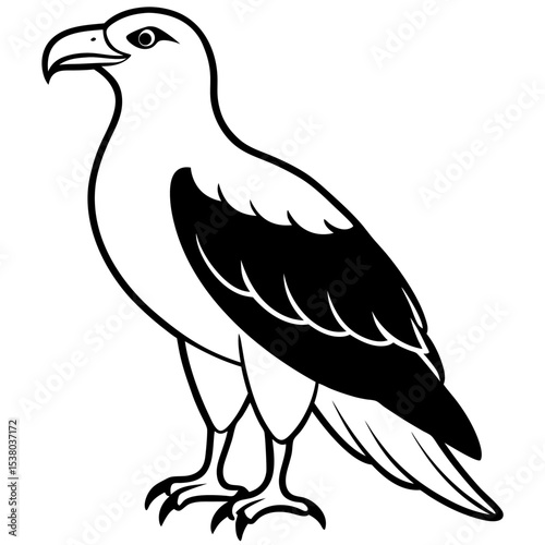 Minimal White-Bellied Sea Eagle Vector