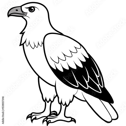 Minimal White-Bellied Sea Eagle Vector