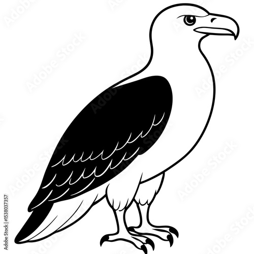 Minimal White-Bellied Sea Eagle Vector