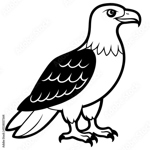 Minimal White-Bellied Sea Eagle Vector
