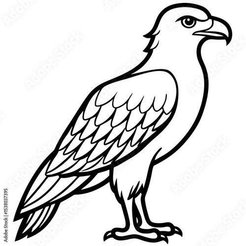 Minimal White-Bellied Sea Eagle Vector