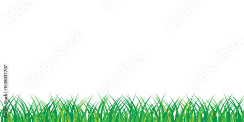 Green grass border frame. Transparent PNG and vector illustration.