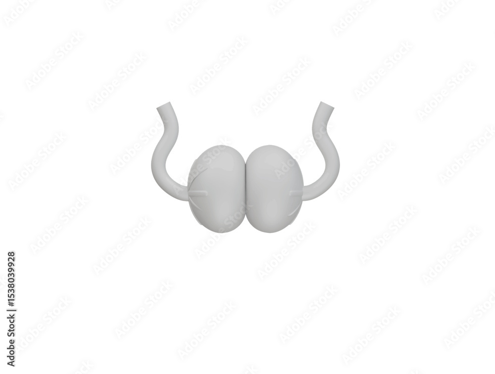 Fototapeta premium Testiculos icon 3d illustration render