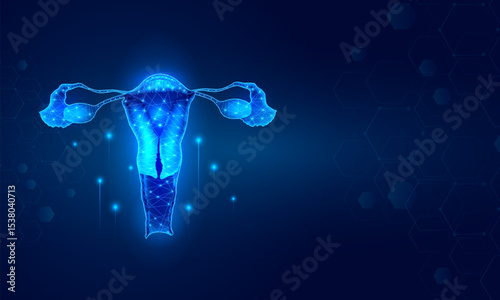 Healthcare and Medical education drawing chart of Human Female Uterus part of Reproductive System for Science Biology study