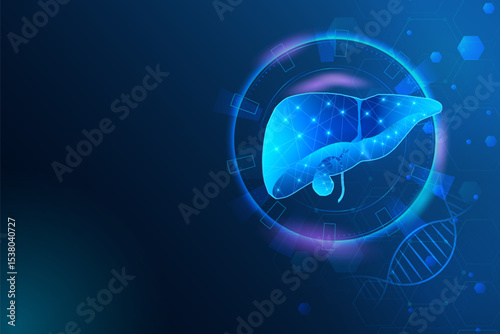 Healthcare and Medical education drawing chart of Human Liver for Science Biology study