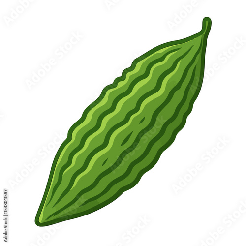 bitter guard isolated on white, vector illustration