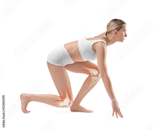 Anatomy of knee. Woman in starting position for run on white background. Illustration on her legs