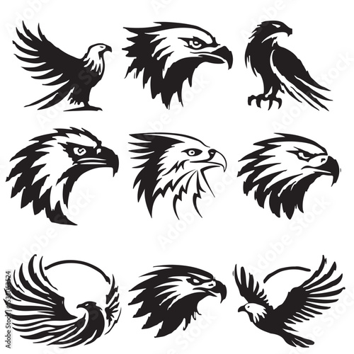 eagle vector image