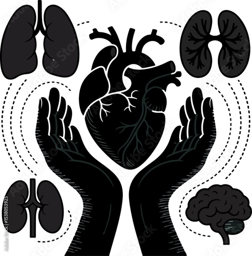 Black Silhouette Human Heart Lungs Kidneys Brain Hands
