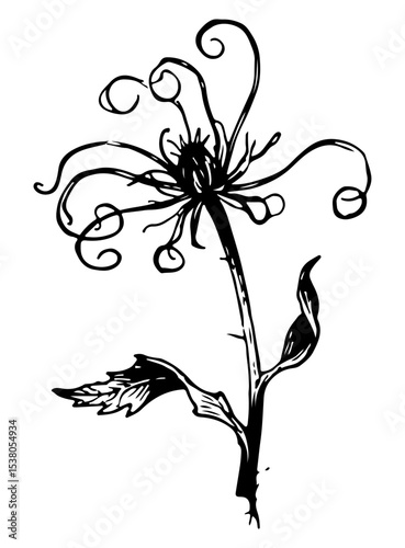 Weed tree vector engraving style illustration