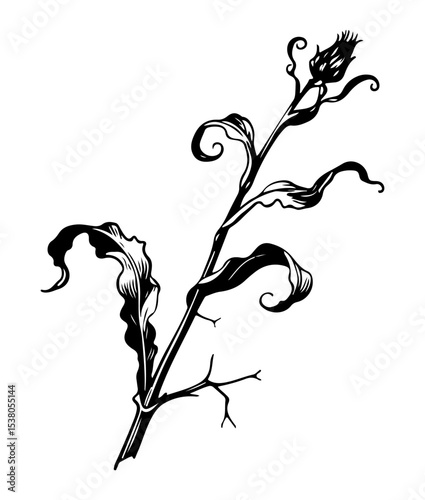 Weed tree vector engraving style illustration