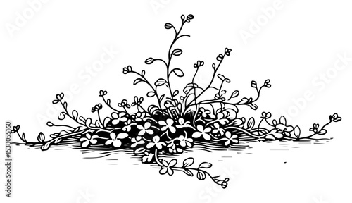 Weed tree vector engraving style illustration