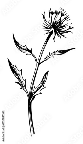 Weed tree vector engraving style illustration