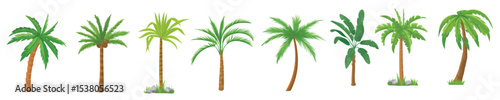 Palm trees. Tropical tree green leaves, beach palms and retro greenery isolated vector set