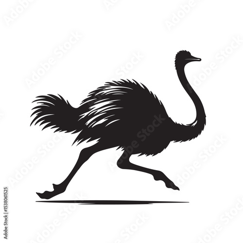 an ostrich running