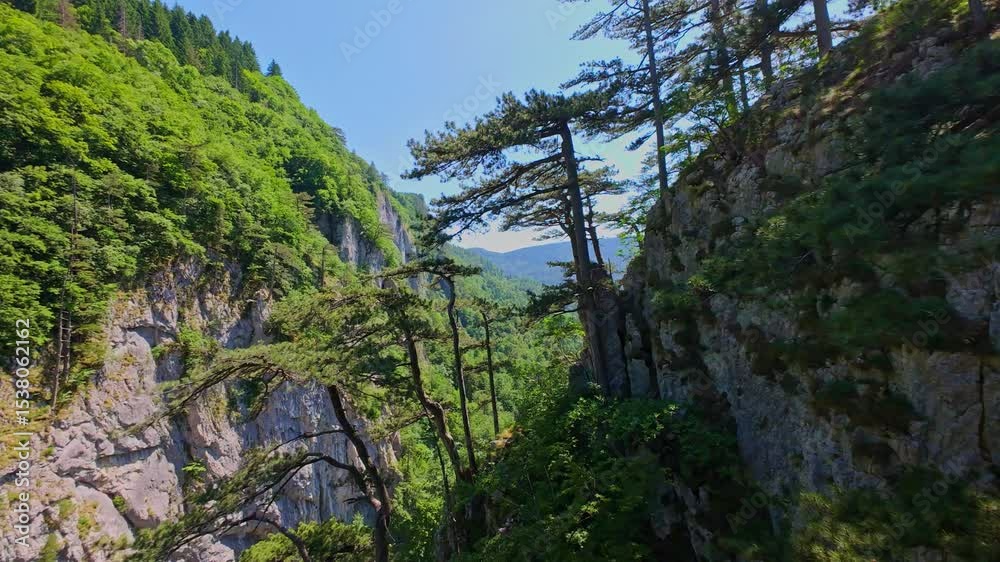 Aerial view of a scenic waterfall cascading down a rocky mountain cliff surrounded by lush green trees and forest, captured in smooth FPV drone slow motion on a sunny summer day, perfect for nature Aerial view of a scenic waterfall cascading down a rocky mountain cliff surrounded by lush green trees and forest, captured in smooth FPV drone slow motion on a sunny summer day, perfect for nature