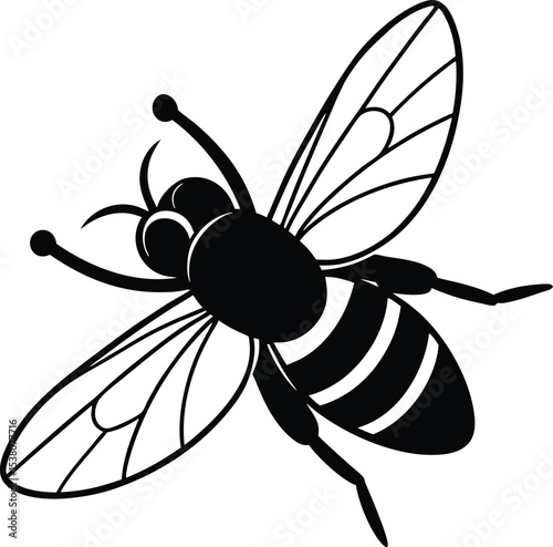bee vector illustration