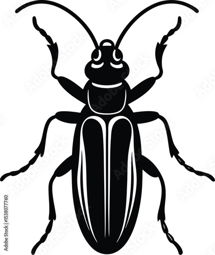 vector illustration of a black beetle