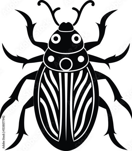 black beetle isolated on white background