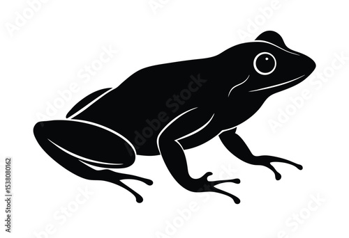 frog silhouette vector illustration simple frog icon flat design photo