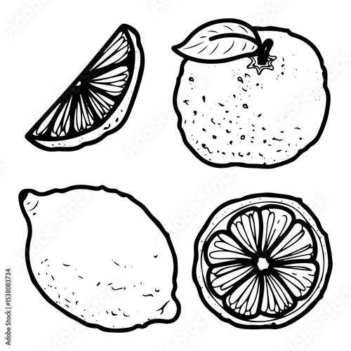 Citrus fruits set. Hand drawn doodle vector. Sour berries with vitamin c. Lemon, lime wedge, mandarin, orange slice. Illustration line art group of elements.